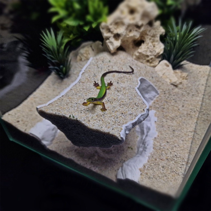 Aquarium Fish Hideout - Plataforma de Descanso Multinivel con Cueva,