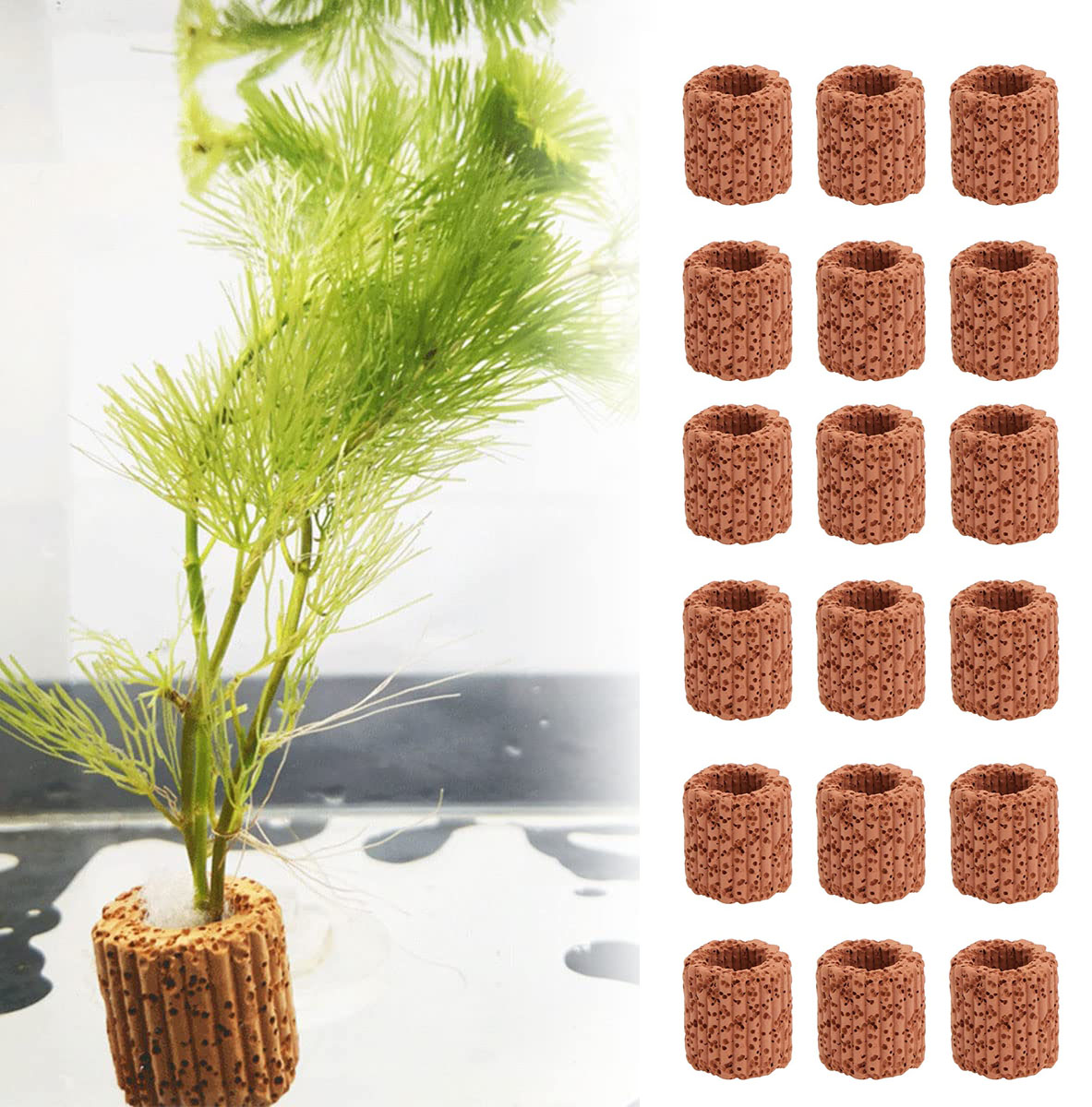 Aquarium Fish Hideout - Anillo fijo para plantas acuáticas, Base