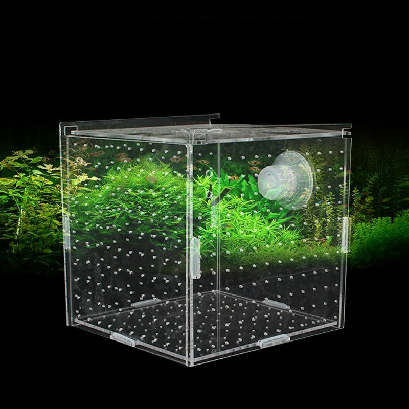 Aquarium Fish Net Small - Caja de aislamiento acrílico para pecera,