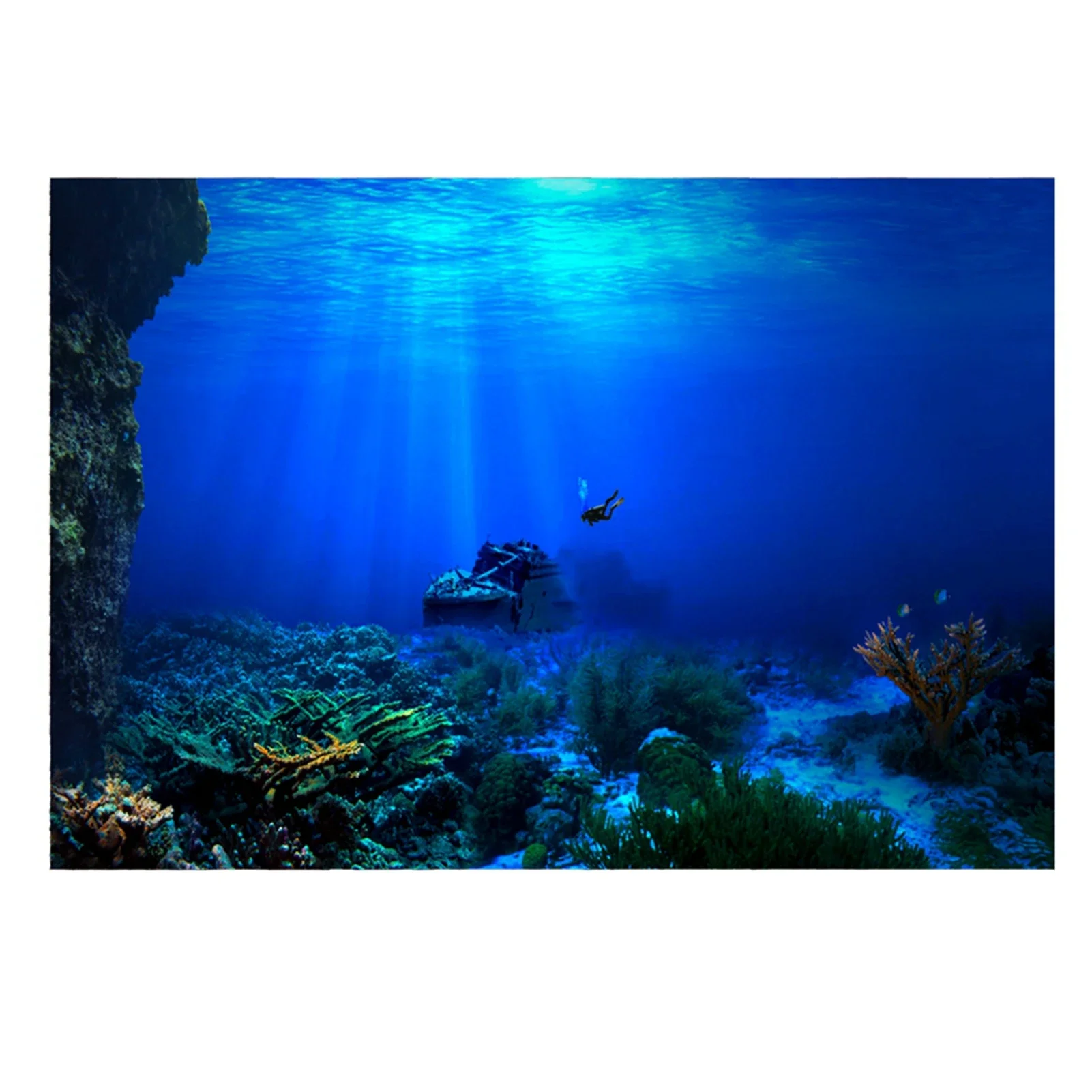 Aquarium Fish Of The World - Fondo de acuario de selva tropical,