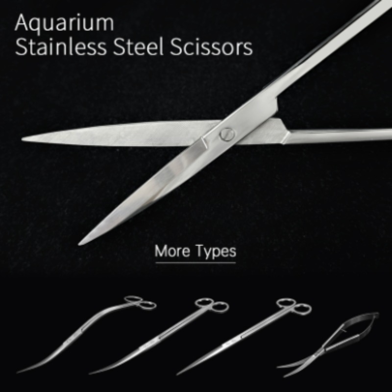 Aquarium Fish Quarantine - Tijeras para Plantas Acuáticas de Acero