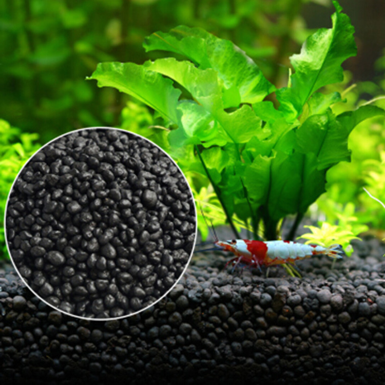 Aquarium Fish Quarantine - Semillas de plantas de Acuario, sustrato