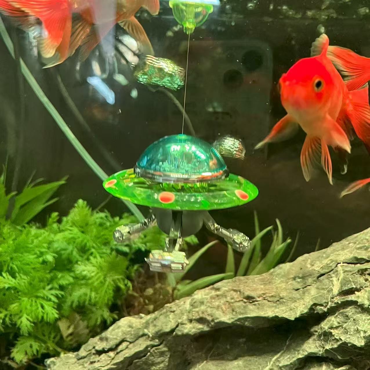 Aquarium Fish Of The World - Estatua de acuario con forma de
