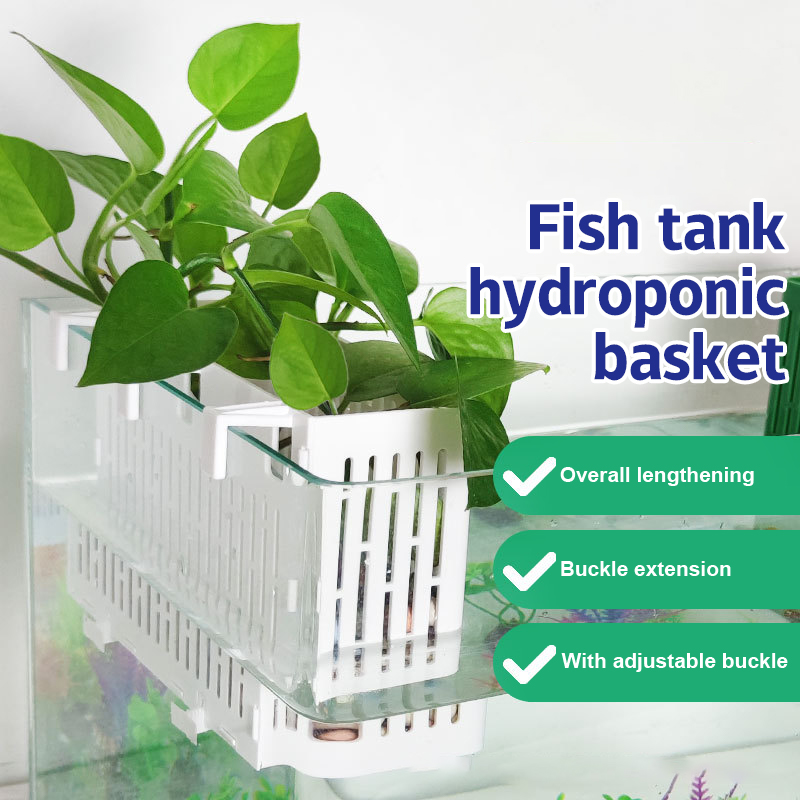 Aquarium Fish Types - 【F】Maceta colgante para acuario, soporte para