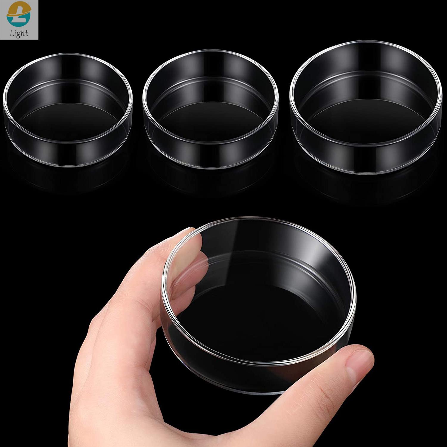 Aquarium Fish Keeping - Cuencos alimentadores para acuario, bandeja de