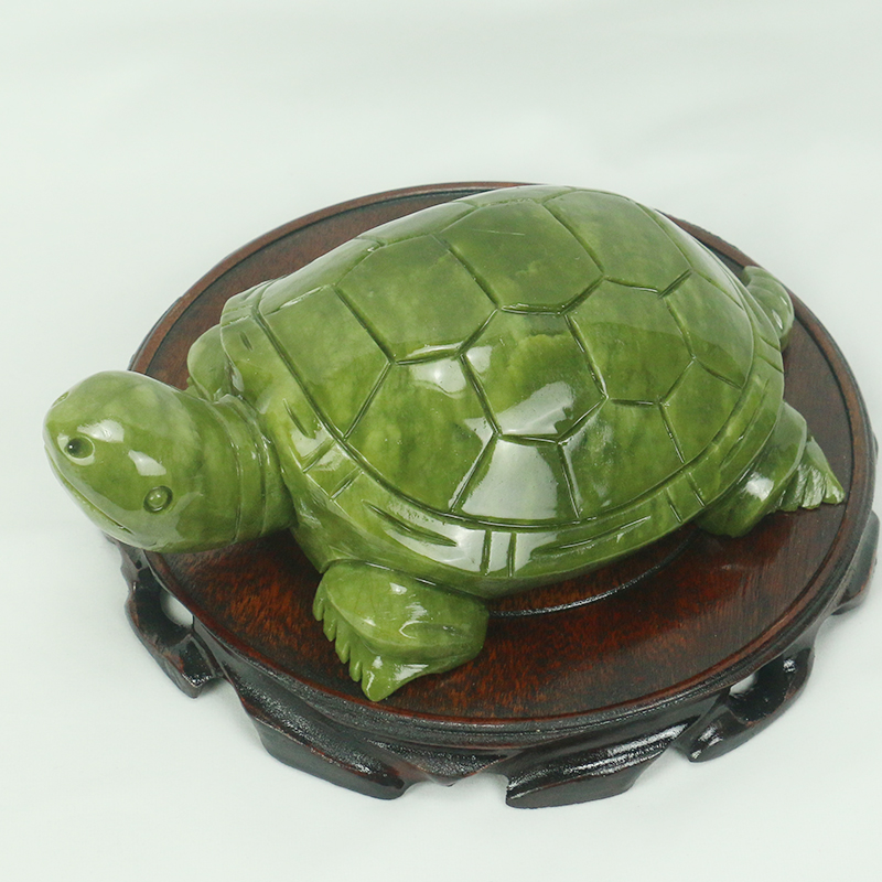 Jade Natural/escultura de tort - Aquarium Fish Types reseña y precio