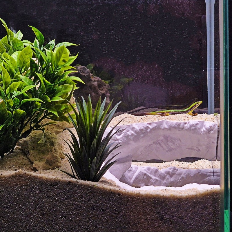 Plataforma de Descanso Multini - Aquarium Fish Hideout reseña y precio