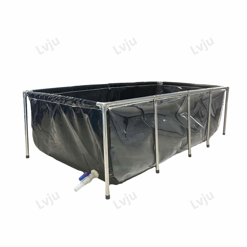 Lvju-tanque de peces de acuari - Aquarium Xxl reseña y precio