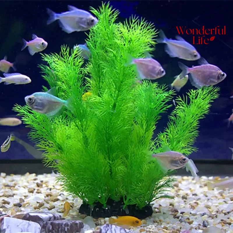 Plantas de plástico acuáticas  - Aquarium Fish Quarantine reseña y precio