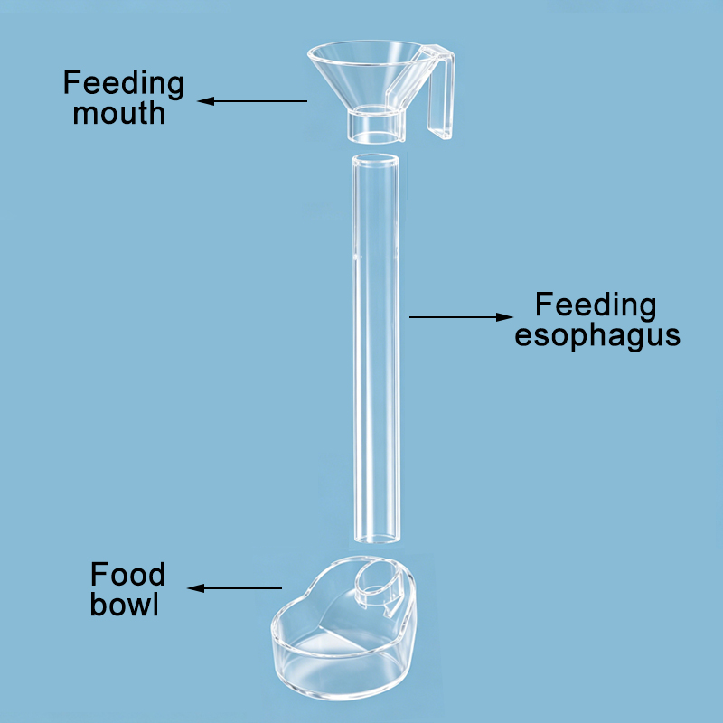 Alimentador de peces de acuari - Aquarium Xxl reseña y precio