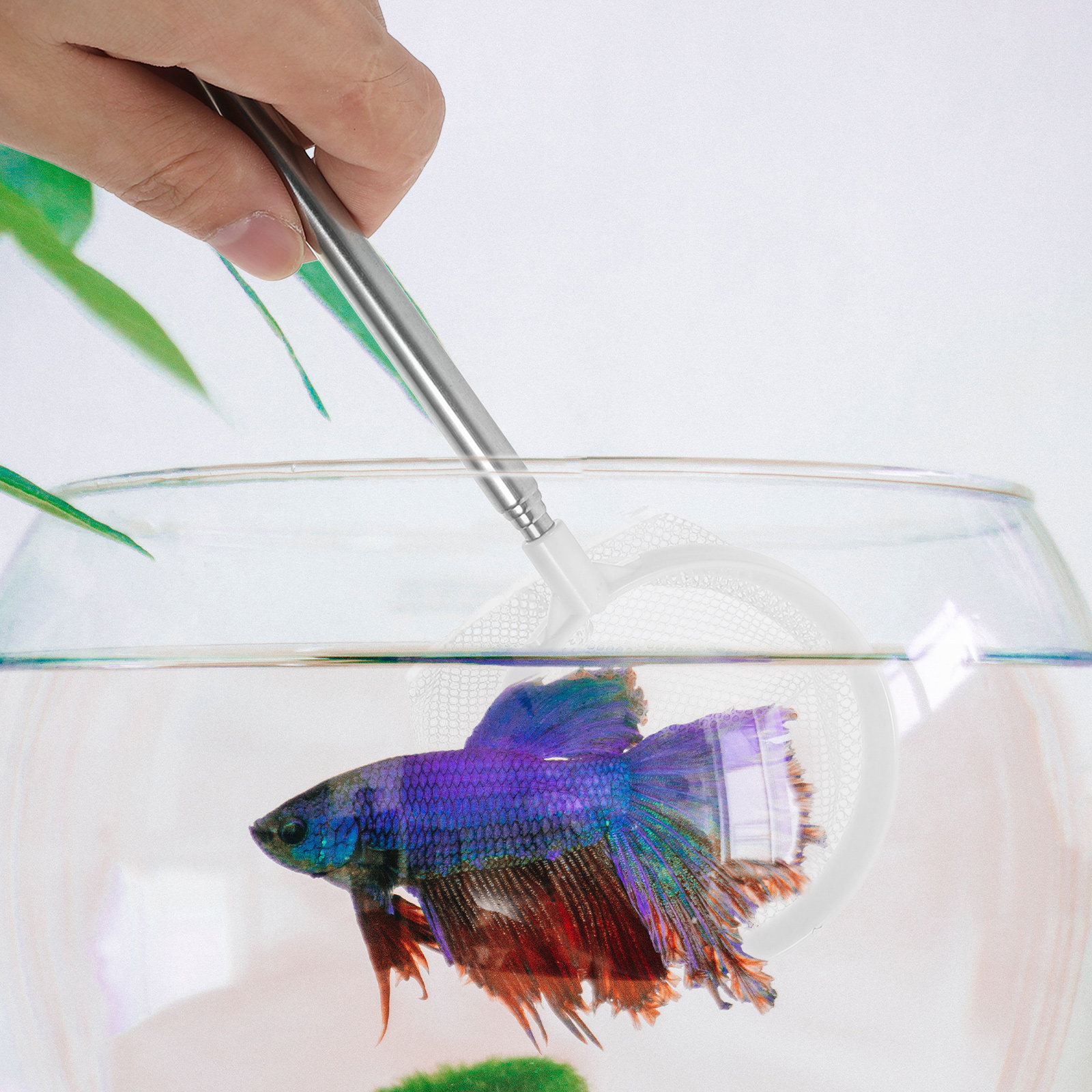Red telescópica de acero inoxi - Aquarium Fish Net Small reseña y precio