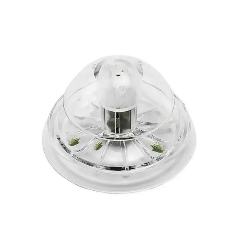 Nueva Trampa para Caracoles de - Aquarium Fish Quarantine reseña y precio
