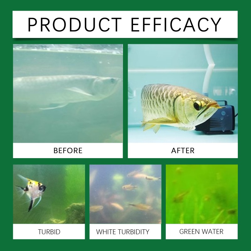 Tabletas Purificadoras de Agua - Aquarium Fish Keeping reseña y precio