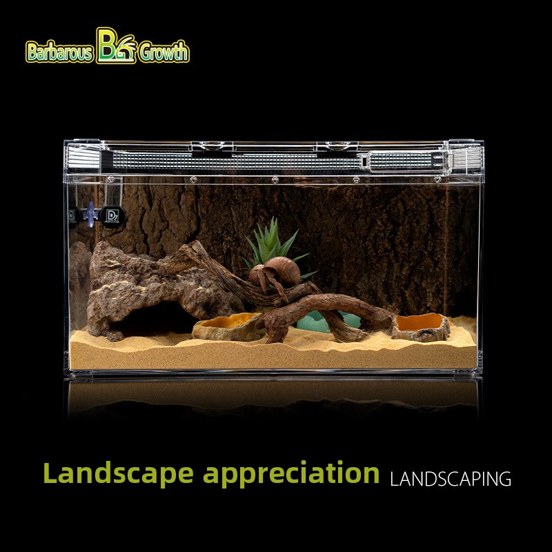 BarbarousGrowth-decoración de  - Aquarium Fish Hideout reseña y precio