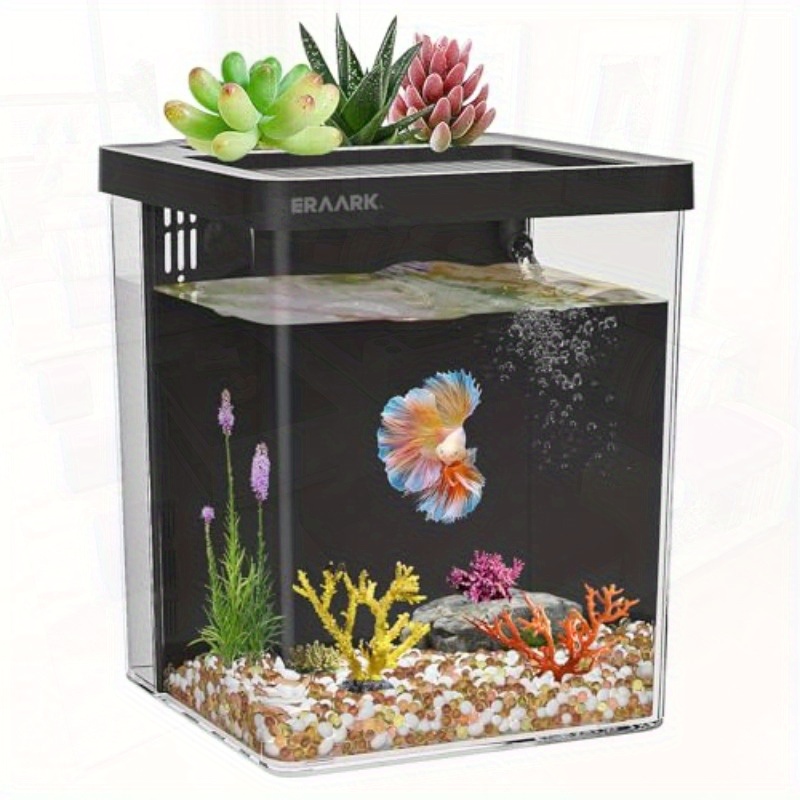 Acuario de escritorio para ofi - Aquarium Fish Keeping reseña y precio