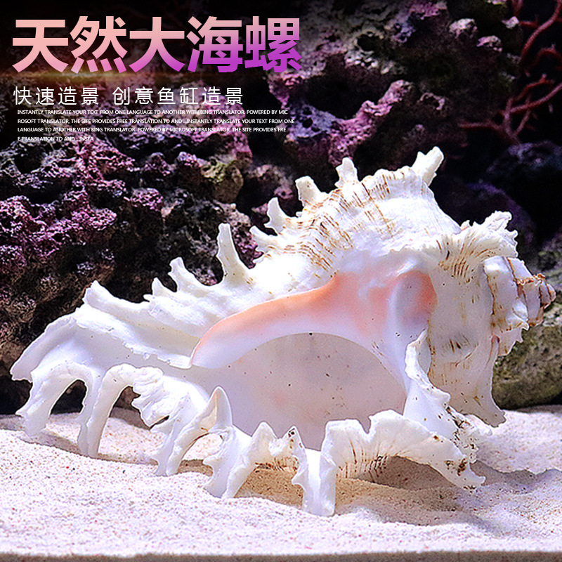 Decoración de Acuario con Cara - Aquarium Fish Of The World reseña y precio