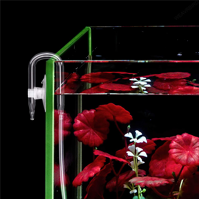 Conector de tubo de aire en fo - Aquarium Fish Quarantine reseña y precio