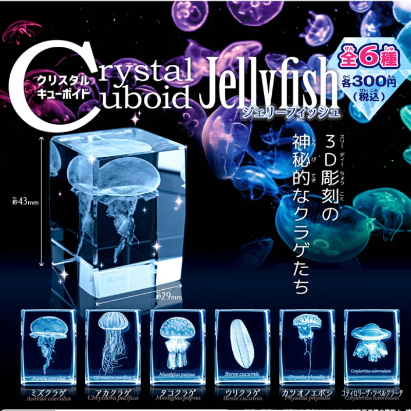 Figura de acuario de medusas G - Aquarium Fish Keeping reseña y precio