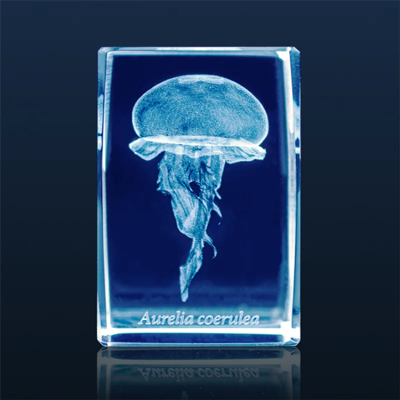 Figura de acuario de medusas G - Aquarium Fish Keeping reseña y precio