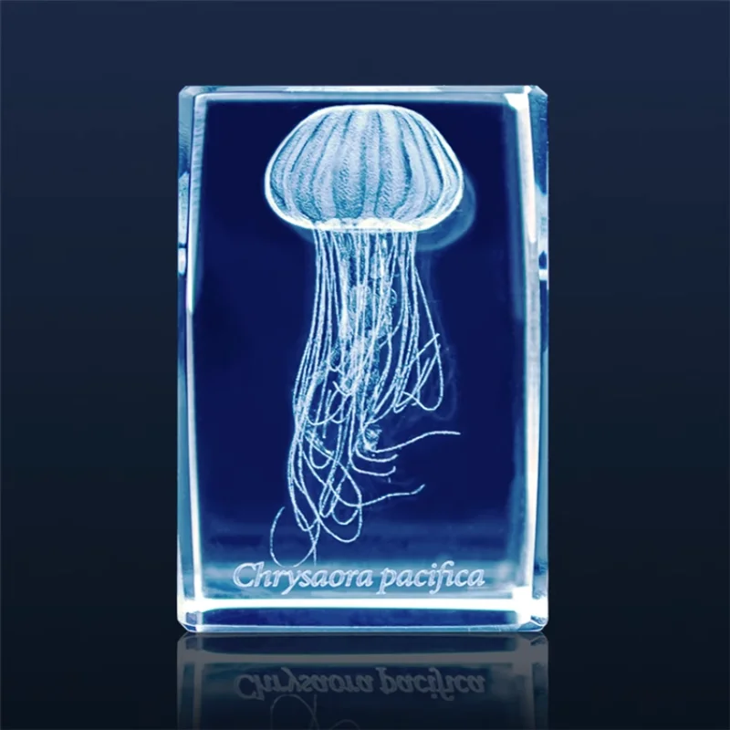 Figura de acuario de medusas G - Aquarium Fish Keeping reseña y precio