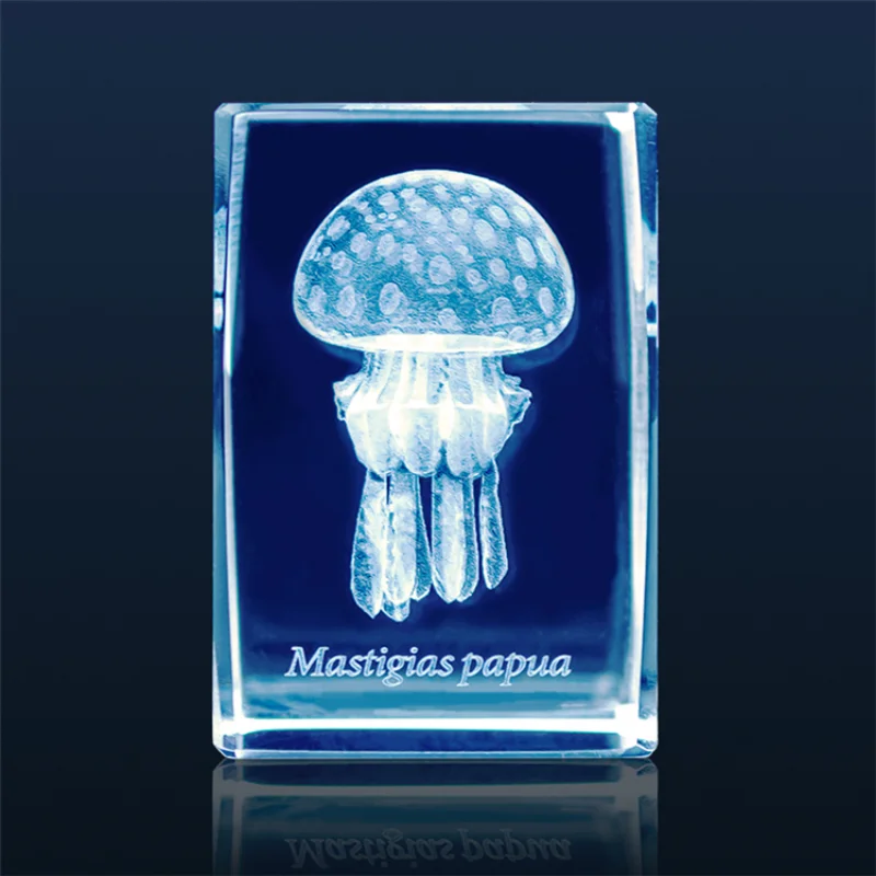 Figura de acuario de medusas G - Aquarium Fish Keeping reseña y precio