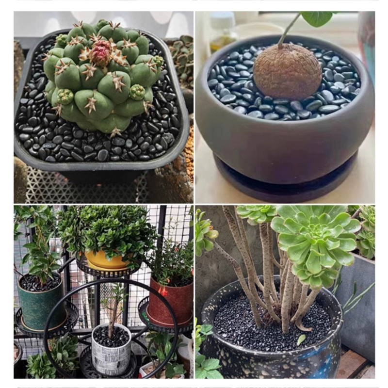 Piedras de río pulidas blancas - Aquarium Fish Types reseña y precio