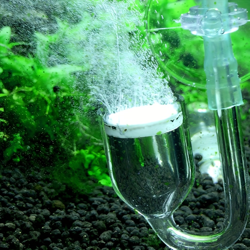 Difusor de atomizador de CO2 d - Aquarium Fish Quarantine reseña y precio