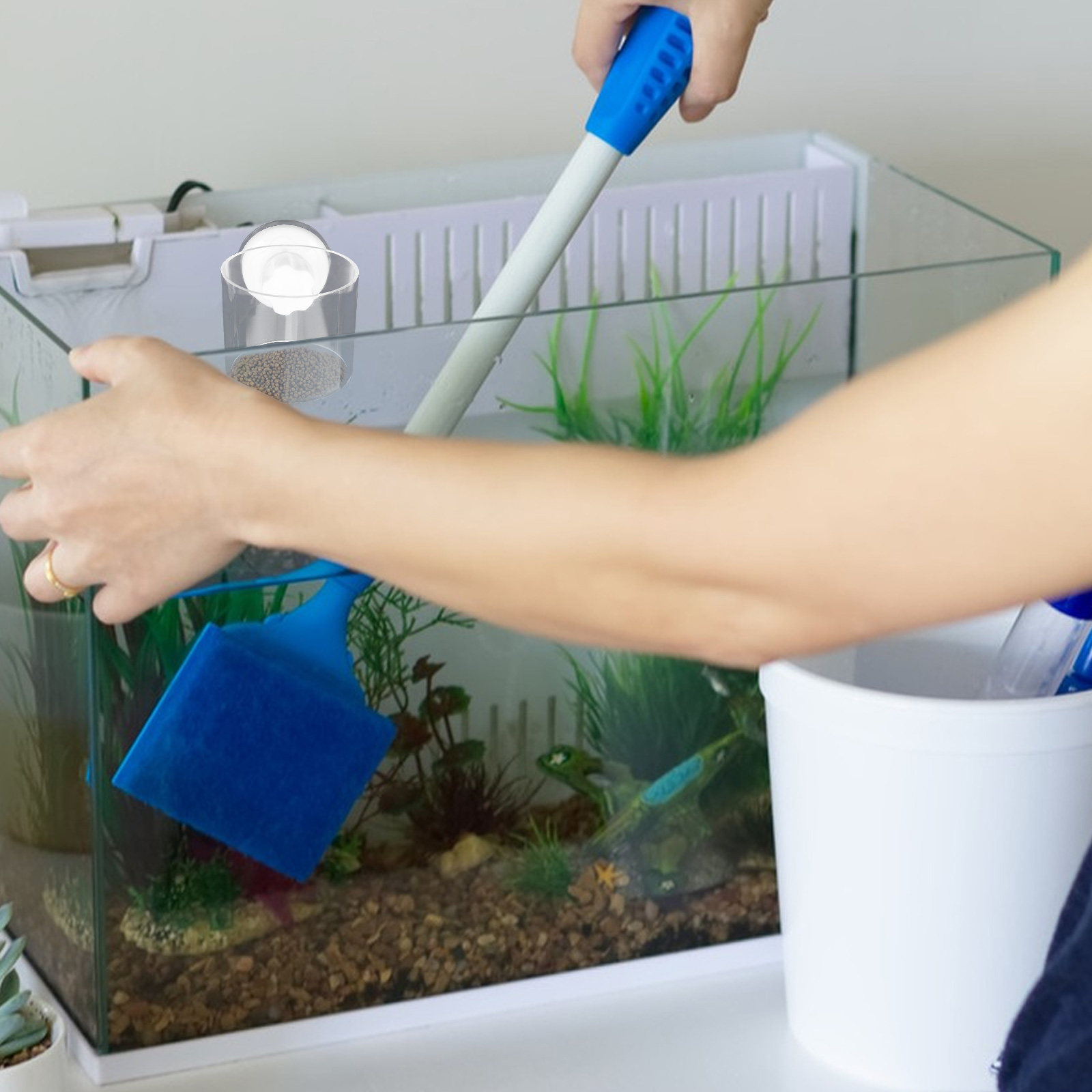 Anillo de alimentación para ac - Aquarium Fish Keeping reseña y precio
