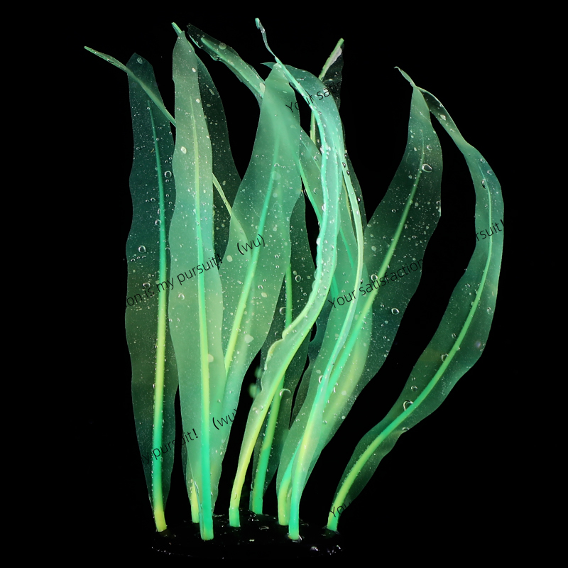 Decoración de plantas de Kelp  - Aquarium Fish Of The World reseña y precio