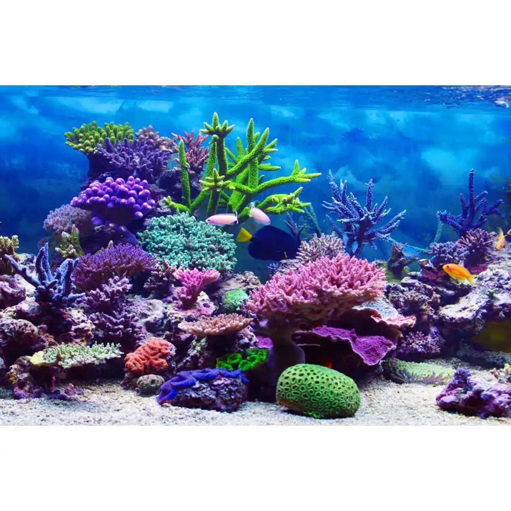 Fondo de Fotografía de Cumplea - Aquarium Fish Of The World reseña y precio