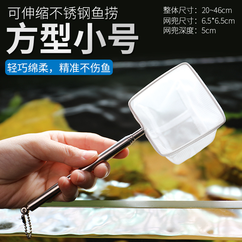 Red de acero inoxidable retrác - Aquarium Fish Net Small reseña y precio