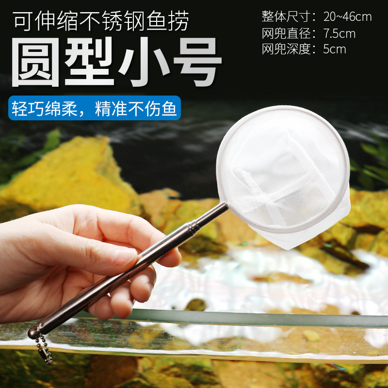 Red de acero inoxidable retrác - Aquarium Fish Net Small reseña y precio