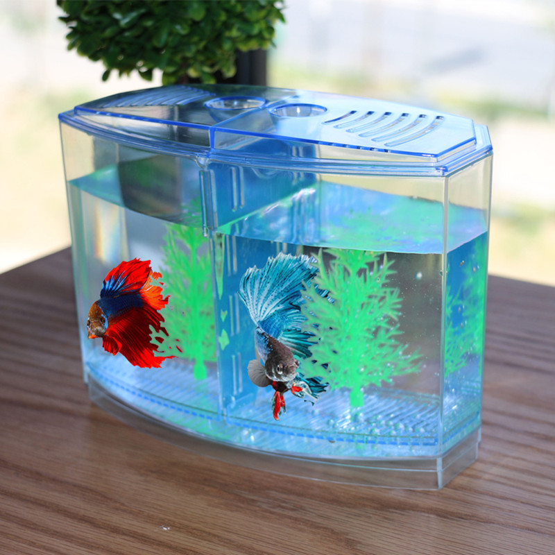 Juguete novedoso y divertido,  - Aquarium Fish Keeping reseña y precio