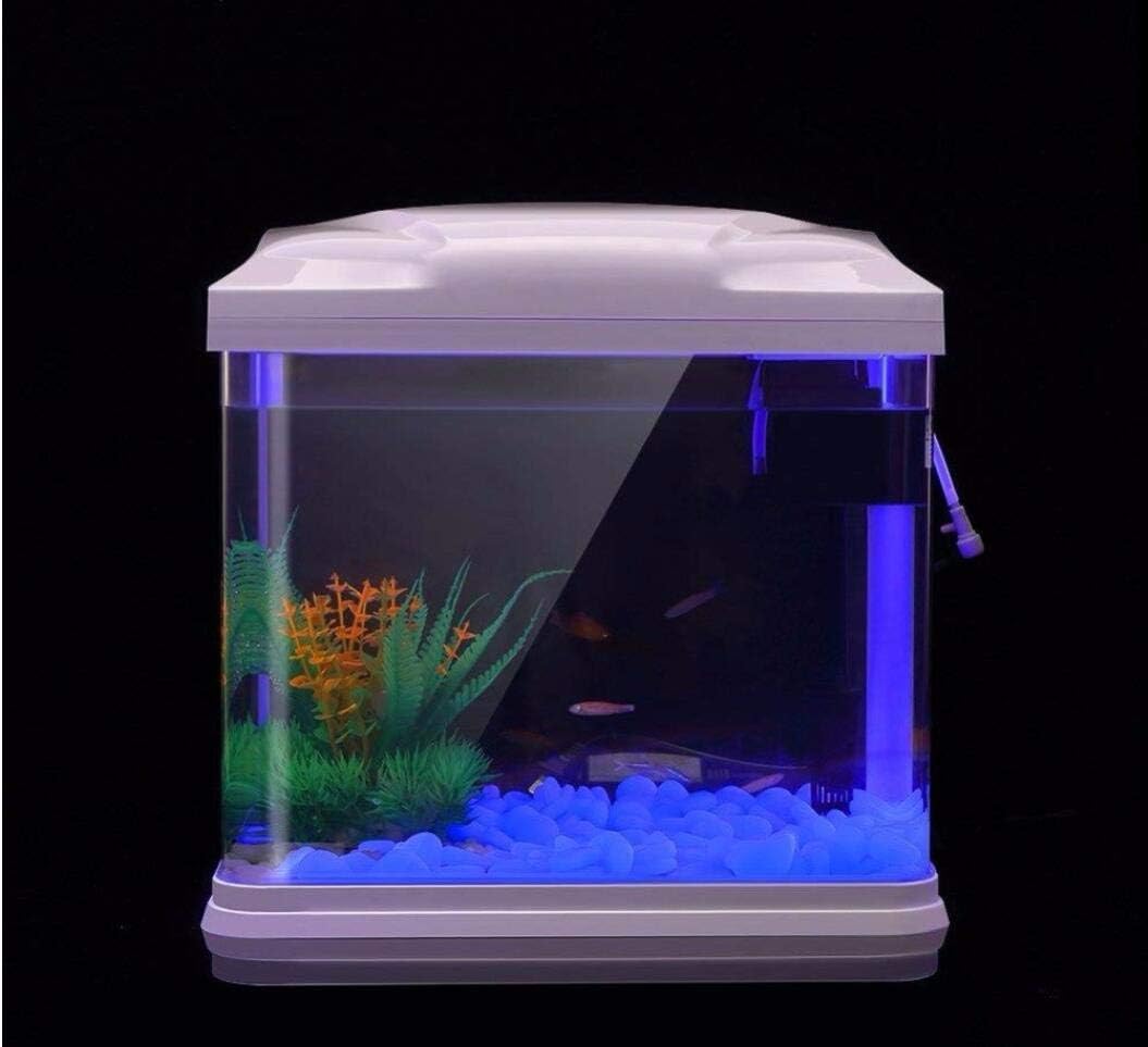 Rocas para pecera, guijarros a - Aquarium Fish Types reseña y precio