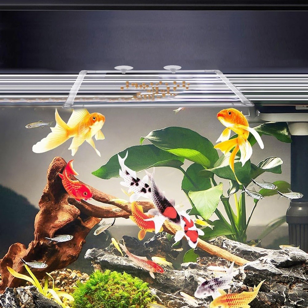 Corral Flotante para Plantas d - Aquarium Fish Zone reseña y precio