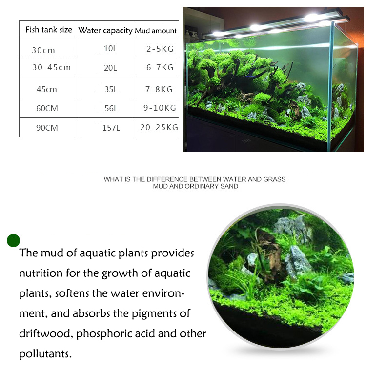 Semillas de plantas de Acuario - Aquarium Fish Quarantine reseña y precio