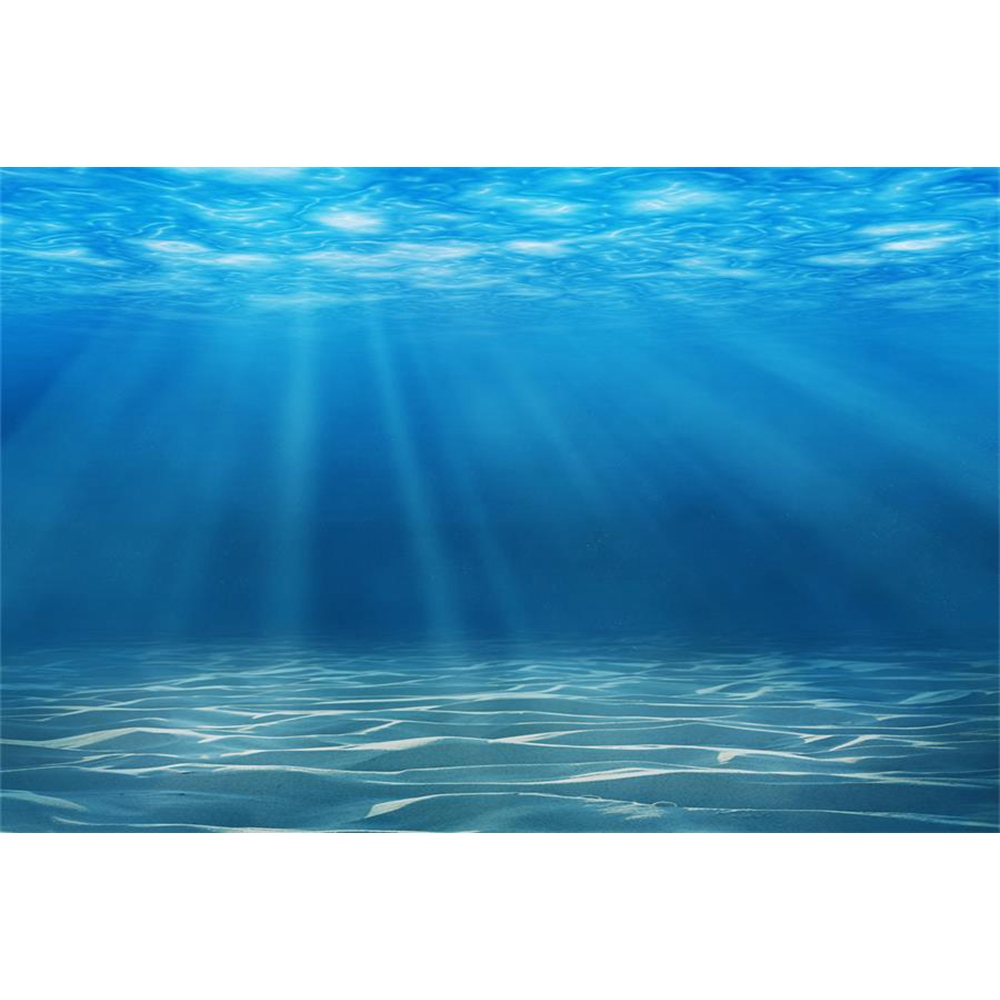 Fondo de fotografía de fondo m - Aquarium Fish Of The World reseña y precio