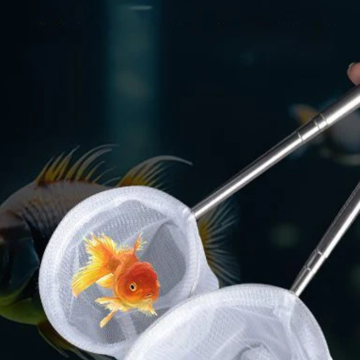 Red de pesca para peces de acu - Aquarium Fish Net Small reseña y precio