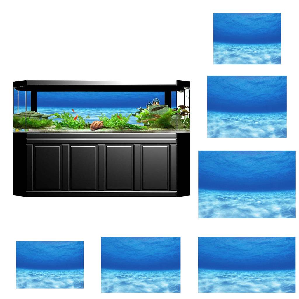 Póster de fondo decorativo lat - Aquarium Fish Of The World reseña y precio