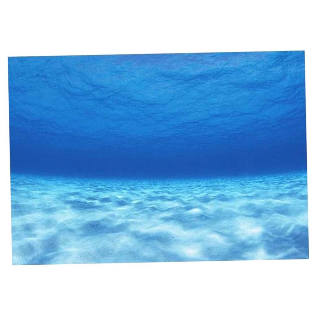 Póster de fondo decorativo lat - Aquarium Fish Of The World reseña y precio