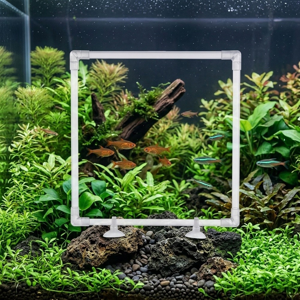Corral Flotante para Plantas d - Aquarium Fish Zone reseña y precio