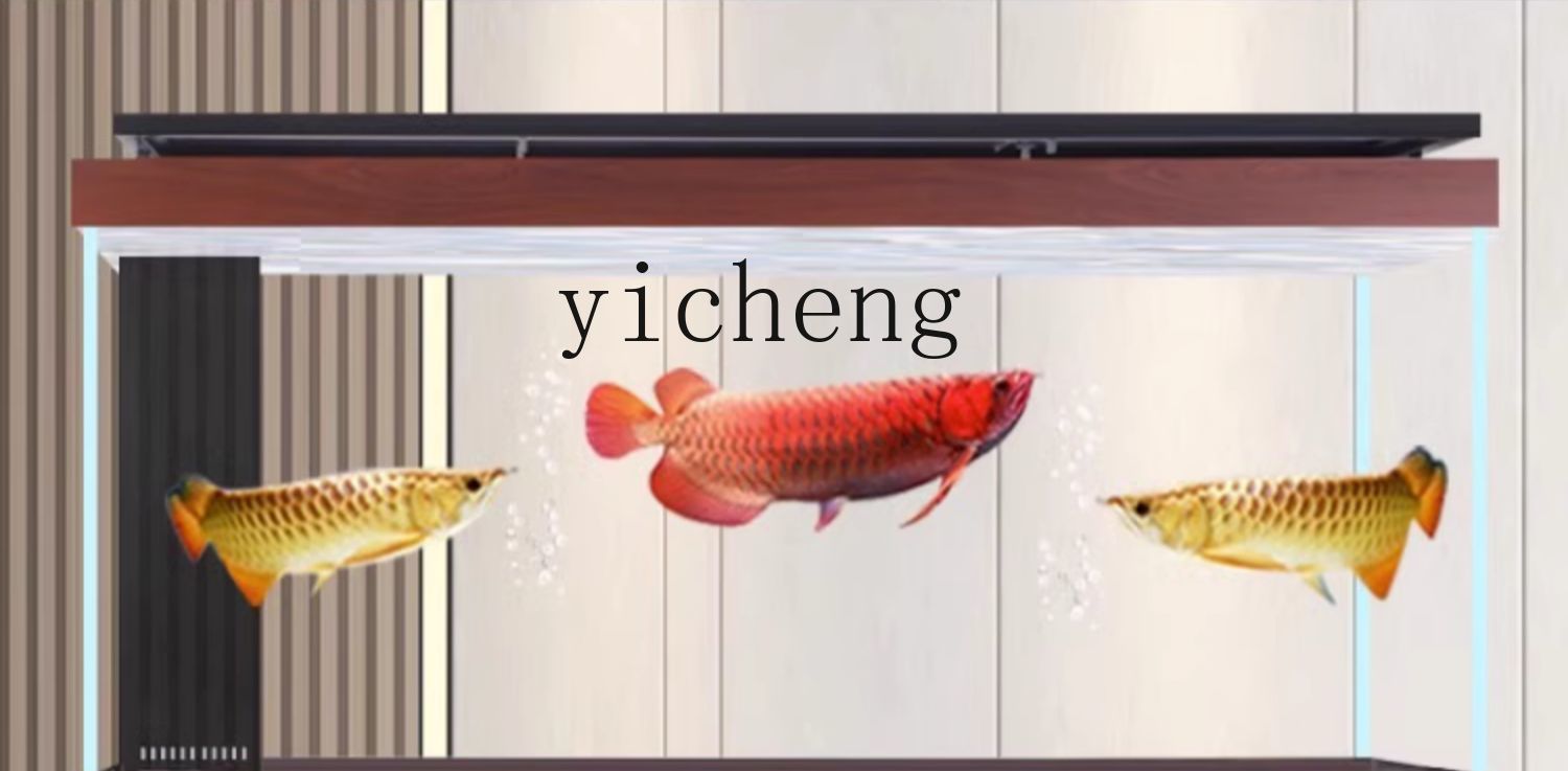 Acuario X8 para arowanas con f - Aquarium Xxl reseña y precio