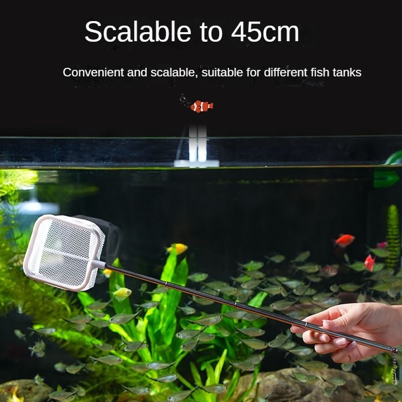 Red de pesca para peces en 3D, - Aquarium Fish Net Small reseña y precio