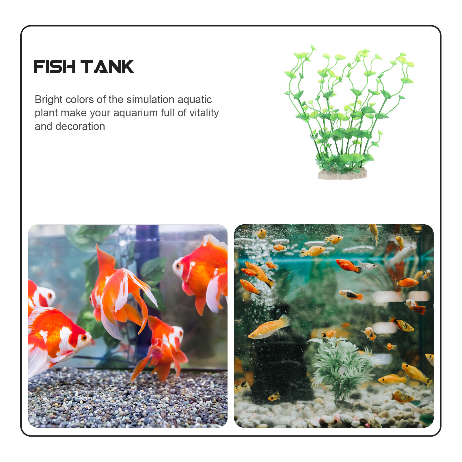 1 unidad de planta acuática ar - Aquarium Fish Of The World reseña y precio