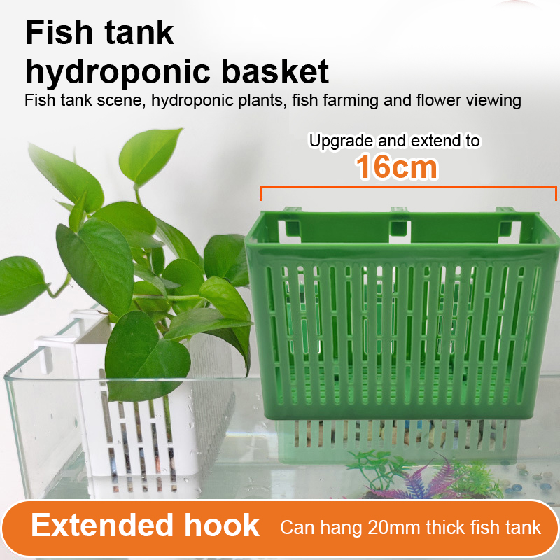 【F】Maceta colgante para acuari - Aquarium Fish Types reseña y precio