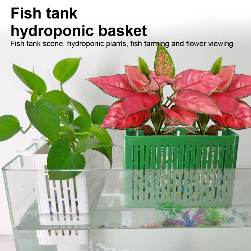 【F】Maceta colgante para acuari - Aquarium Fish Types reseña y precio