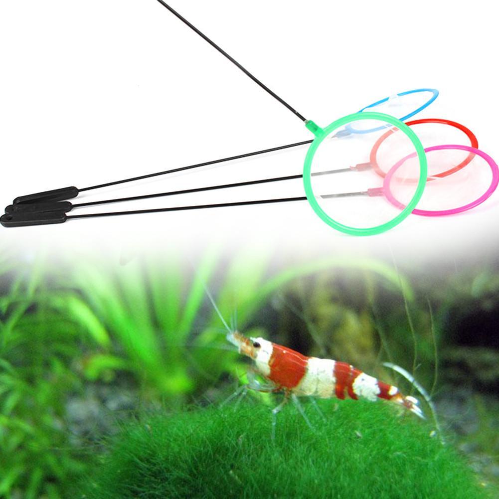 Redes coloridas para peces de  - Aquarium Fish Net Small reseña y precio